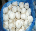 20 kilogrammes de paquet de sac de maille lâche frais d&#39;ail blanc pur en Chine